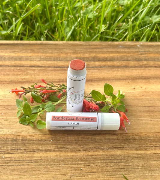 Ponderosa Primrose Lip Tint Pack of 5